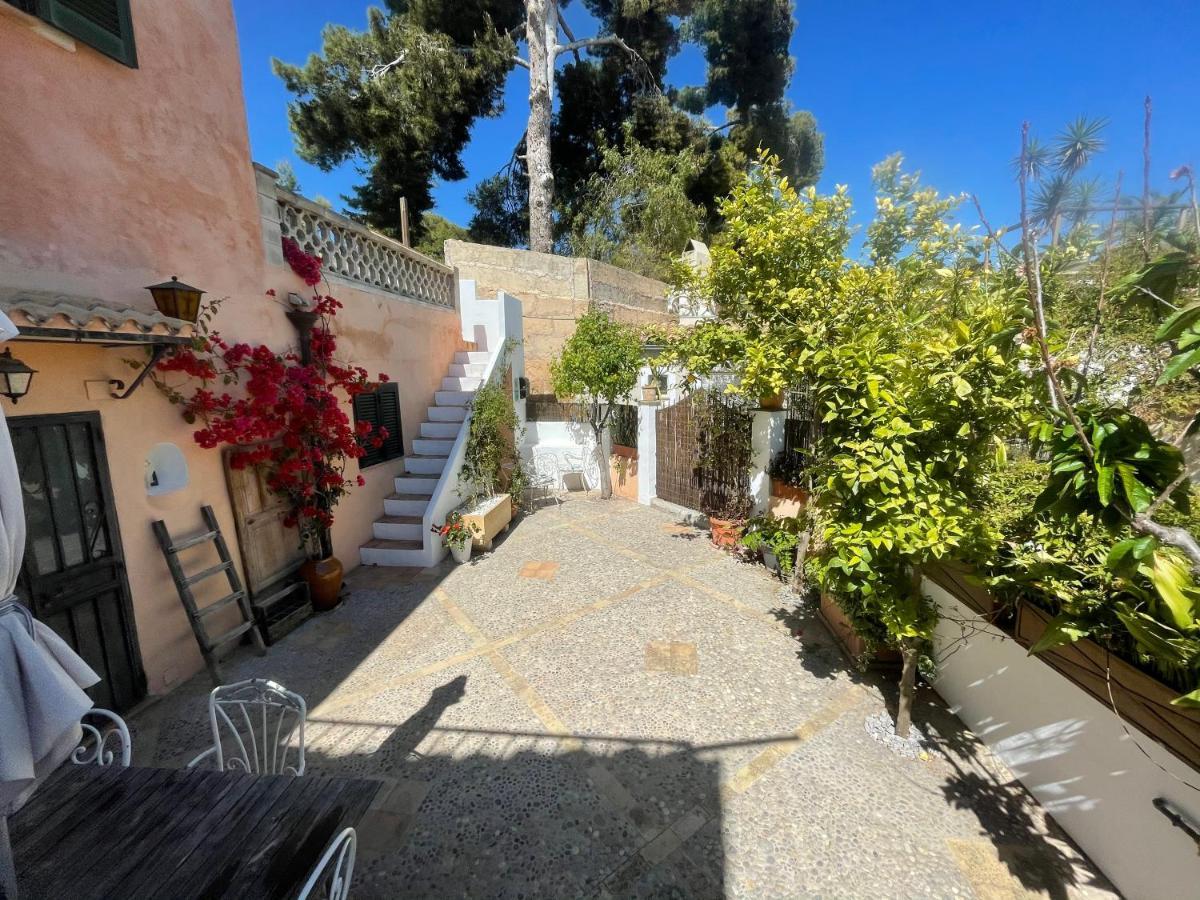 Casita Rosa * Palma