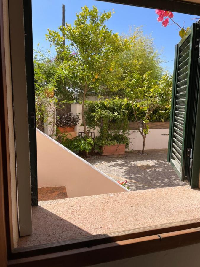 Casita Rosa * Palma